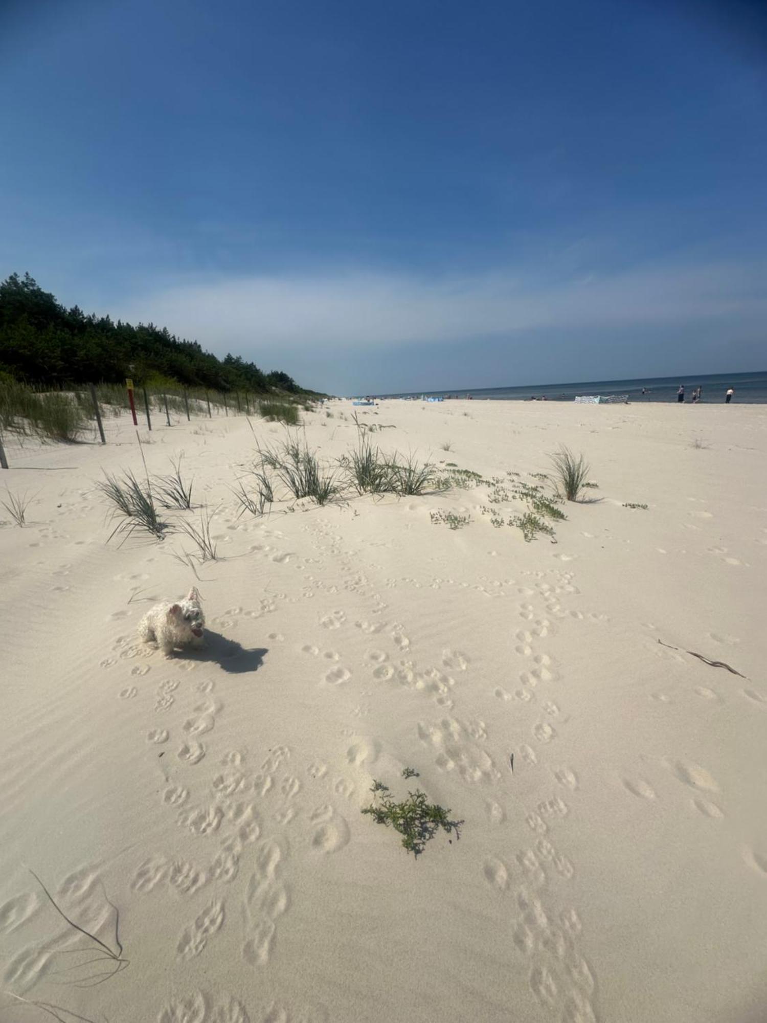 Baltic Holidays Gąski Exterior photo